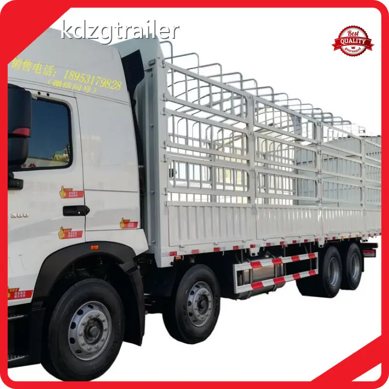 Custom Cargo Mini Truck Cargo Mini Truck Company 1
