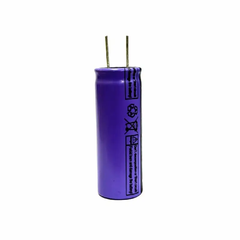 Lithium Manganese Dioxide Cell Company 4