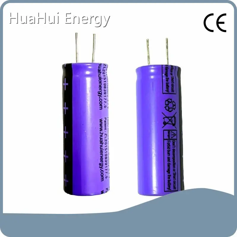 Lithium Manganese Dioxide Cell Company 1