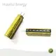 Custom 48v Lithium Titanate Battery Price List-1 1