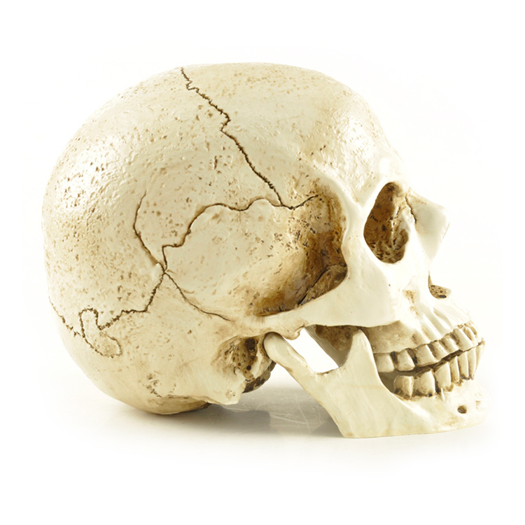 Ennas polyresin miniature halloween figures promotional from best factory 4