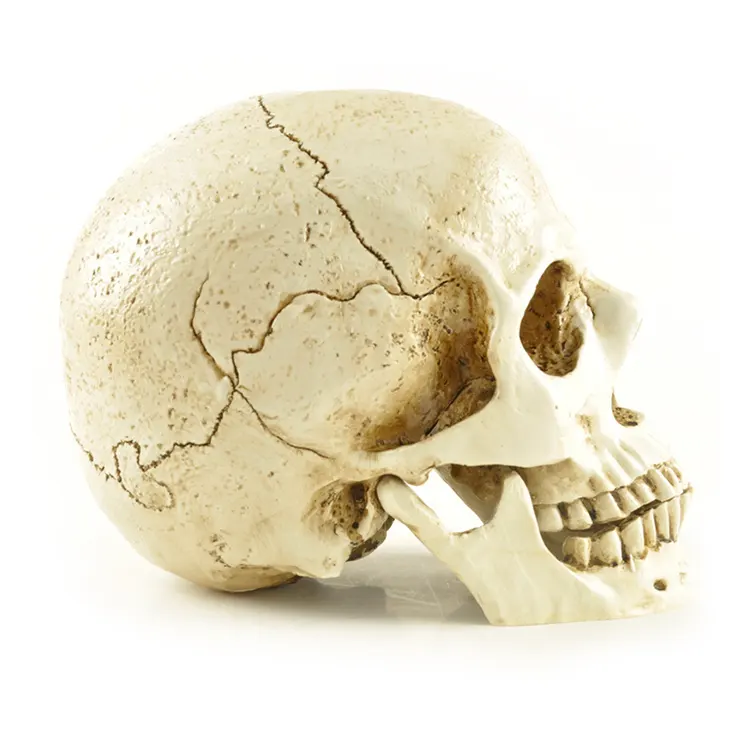 Ennas halloween figurine bulk from best factory 4