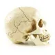 Ennas halloween figurine bulk from best factory 4