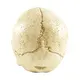 Ennas halloween figurine bulk from best factory 5
