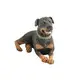Ennas handmade wild animal figurines hot-sale at discount1 1
