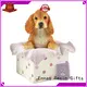 Hot Polyresin Material Dog Figurine Handmade 3D Realistic Home Decor Resin Craft 1