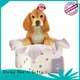 decorative collectible dog figurines home decoration resin craft Ennas 1