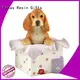 Ennas sculpture model dog figurines free delivery 1