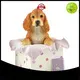 Ennas sculpture model dog figurines toys hot-sale resin craft 1