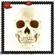 Ennas halloween figurine bulk from best factory 1