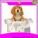 sculpture model toy animal figures home decoration high-quality resin craft1 1