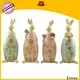 custom wild animal figurines home decoration free delivery 1