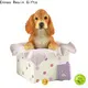 Ennas custom dog figurines toys hot-sale at discount 1