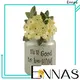Ennas popular resin figure festival fairy 1