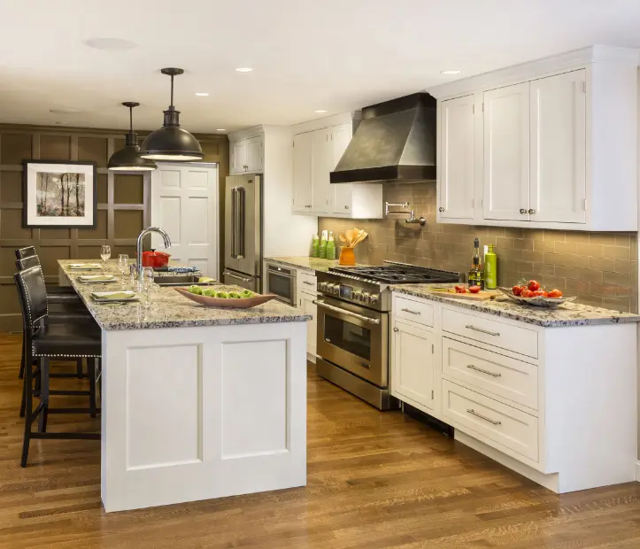 Modern Kitchen Cabinet Brands Assemble Or Knock Downprice 2