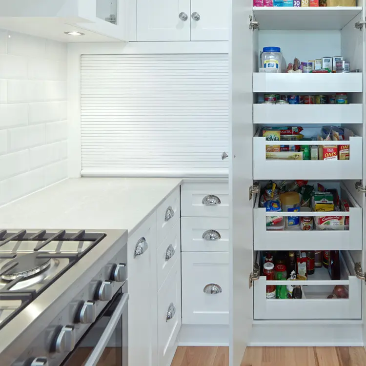 Bestmodern Dark Wood Kitchen Cabinets Maple/Oak/Solid Wood/MDF/melaminated Particle Board/PVC/ Polywood Assemble Or Knock Down. 6