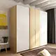 Latest two door wardrobe manufacturers 3