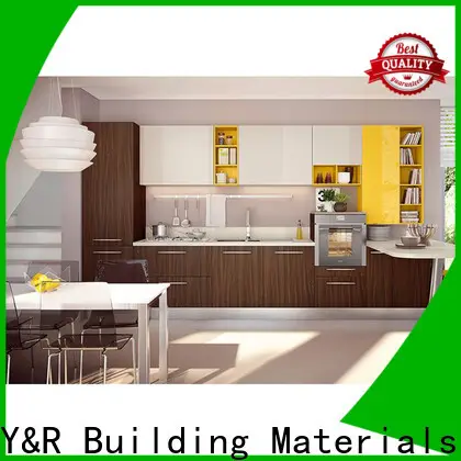 New modern kitchen cabinets for business 1