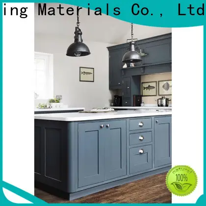 Best handle kitchen cabinet factory 1