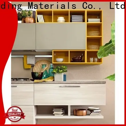 China modern kitchen cabinet for business 1