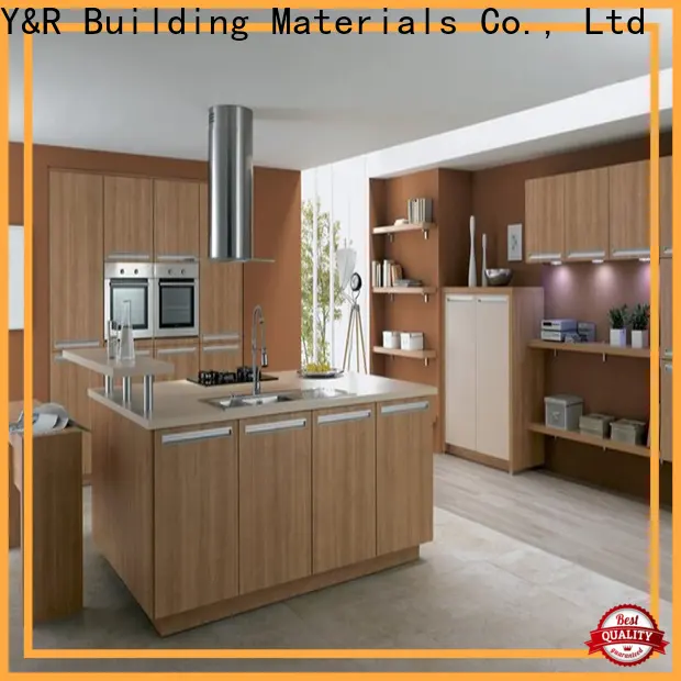Y&r Furniture modern high gloss white kitchen cabinets manufacturers1 1