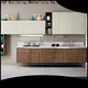 Custom modern style kitchen cabinets for business 1