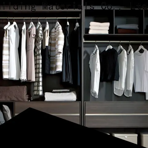 Latest single sided walk in closet for business 1