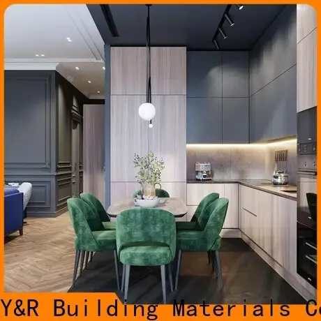 New contemporary style kitchen cabinets for business 1