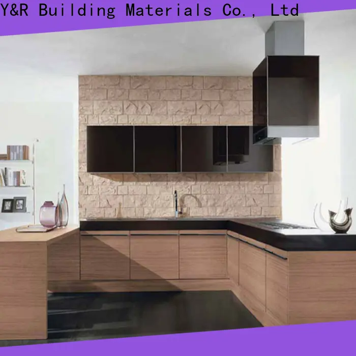 Y&r Furniture modern style kitchen cabinets company 1