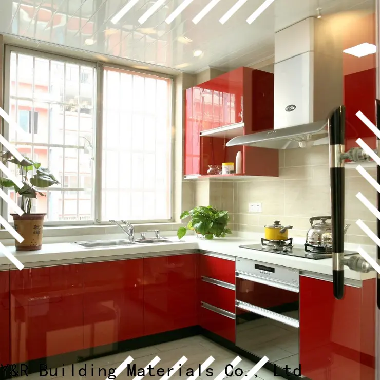 Y&r Furniture China contemporary style kitchen cabinets factory 1
