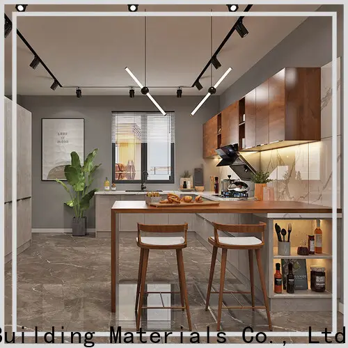 China modern style kitchen cabinets Supply 1