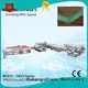 high speed double edger SM 20 series for photovoltaic panel processing 1