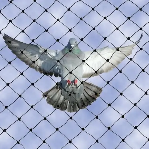 High-Densityshade Net Supplier 3x5m and the Freight Is Borne by the Customer 6