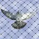 High-Densityshade Net Supplier 3x5m and the Freight Is Borne by the Customer 6