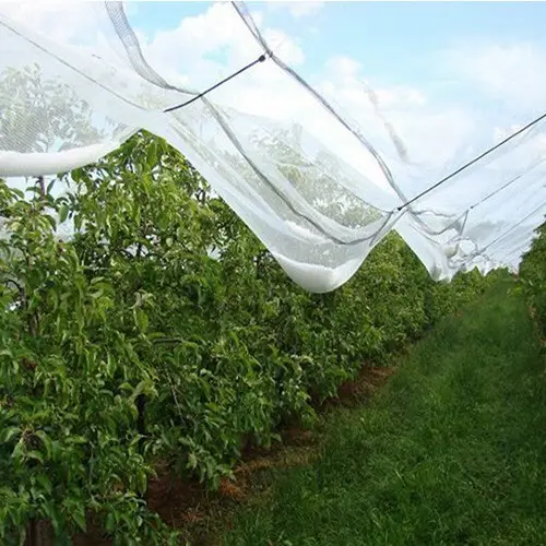Extreme Weather Protection: How Green Shade Nets Keep Your Garden Strong 1