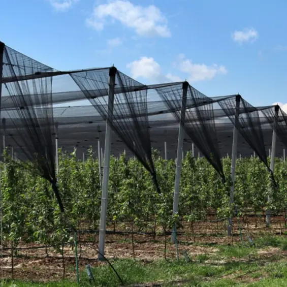 Shade Net Supplier 1000pcs - - WINCO 6