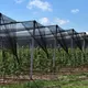 Shade Net Supplier 1000pcs - - WINCO 6