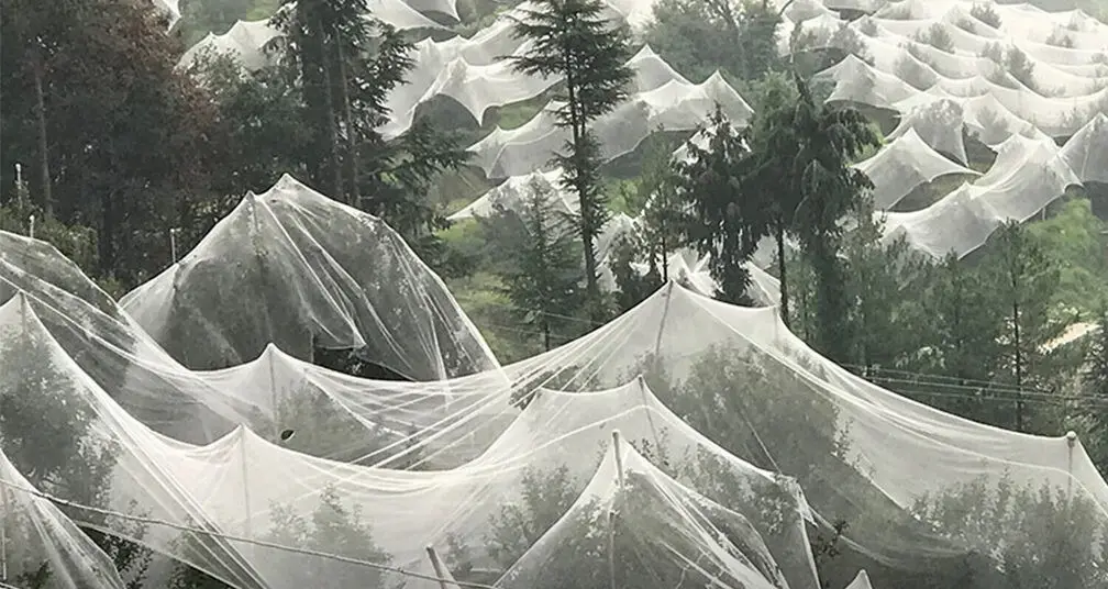 Greenhouse Plastic Film HDPE. Wholesale - WINCO 8