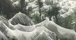 Greenhouse Plastic Film HDPE. Wholesale - WINCO 8