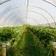 Moisture-Barrier Shade Netting Suppliers Factory 4