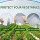Moisture-Barrier Shade Netting Suppliers Factory 7