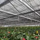 Biodegradable Plastic Packaging and the Freight Is Borne by the Customer Wholesale - WINCO 3