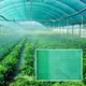 Biodegradable Plastic Packaging and the Freight Is Borne by the Customer Wholesale - WINCO 4