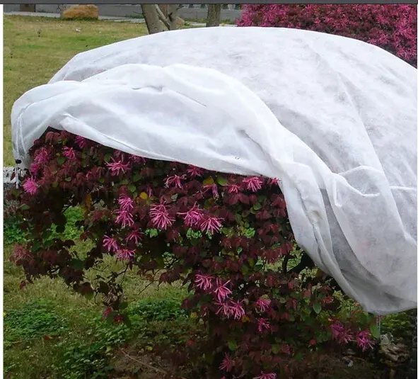 Plastic Packing Roll-up Tarp Or Bale Packing. Wholesale - WINCO 5