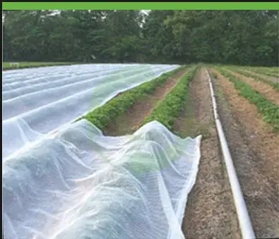 Plastic Packing Roll-up Tarp Or Bale Packing. Wholesale - WINCO 3