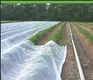 Plastic Packing Roll-up Tarp Or Bale Packing. Wholesale - WINCO 3
