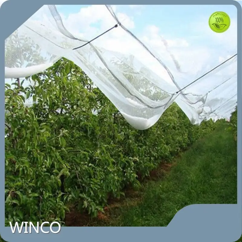 Green House Net the Samples Are Provided Free of Charge - - WINCO 1