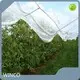 Green House Net the Samples Are Provided Free of Charge - - WINCO 1