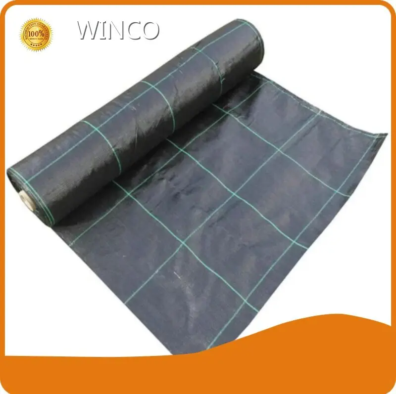 Moisture-Barrier Biodegradable Plastic Packaging Factory 1