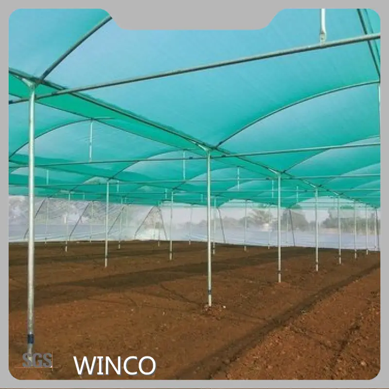 Biodegradable Plastic Packaging and the Freight Is Borne by the Customer Wholesale - WINCO 1